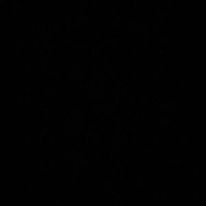 Meet your Posher, Orlando